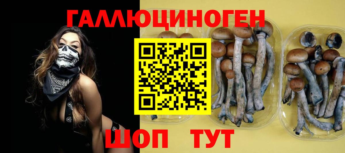 Галлюциногенные грибы мицелий  Вход с VPN  Учалы 